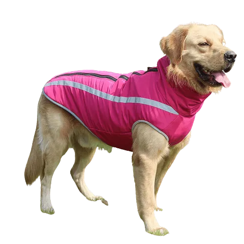 A Plus A Pets Luxurious Rain & Wind Protector Jacket for Dogs (Pink)