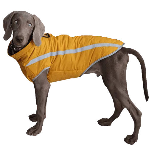 A Plus A Pets Luxurious Rain & Wind Protector Jacket for Dogs (Yellow)