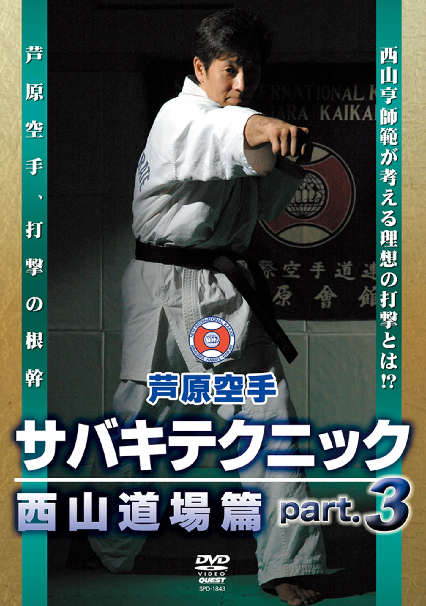 Ashihara Kaikan Sabaki Technique Vol 3 DVD by Toru Nishiyama