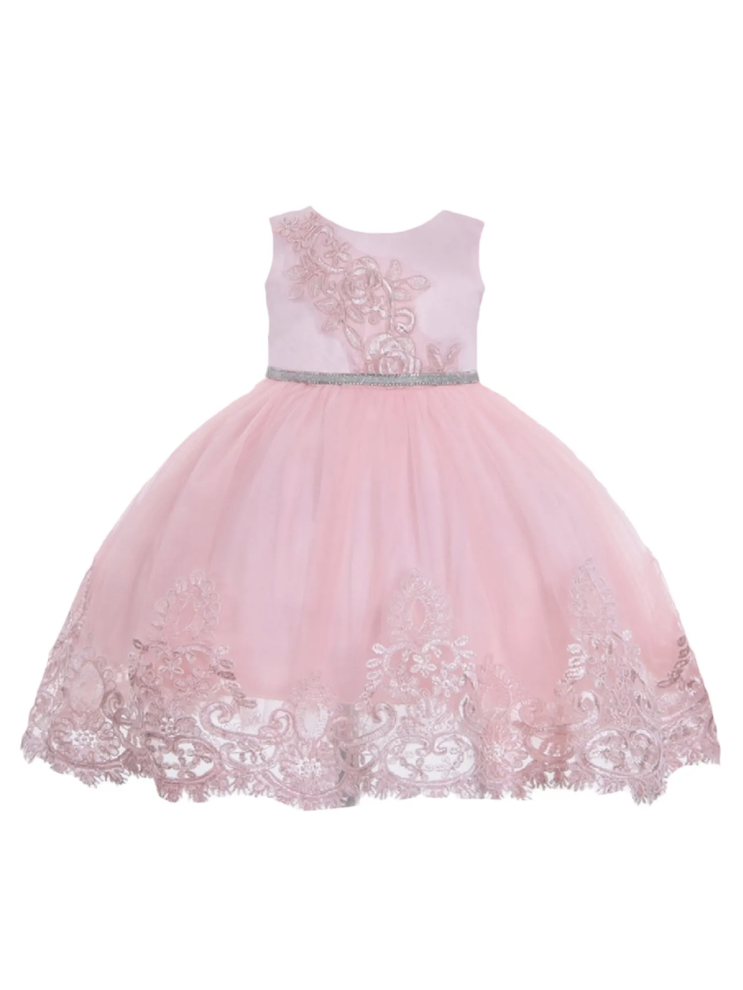 Baby Girls Blush Floral Embroidery Glitter Belt Flower Girl Dress 6-24 Months