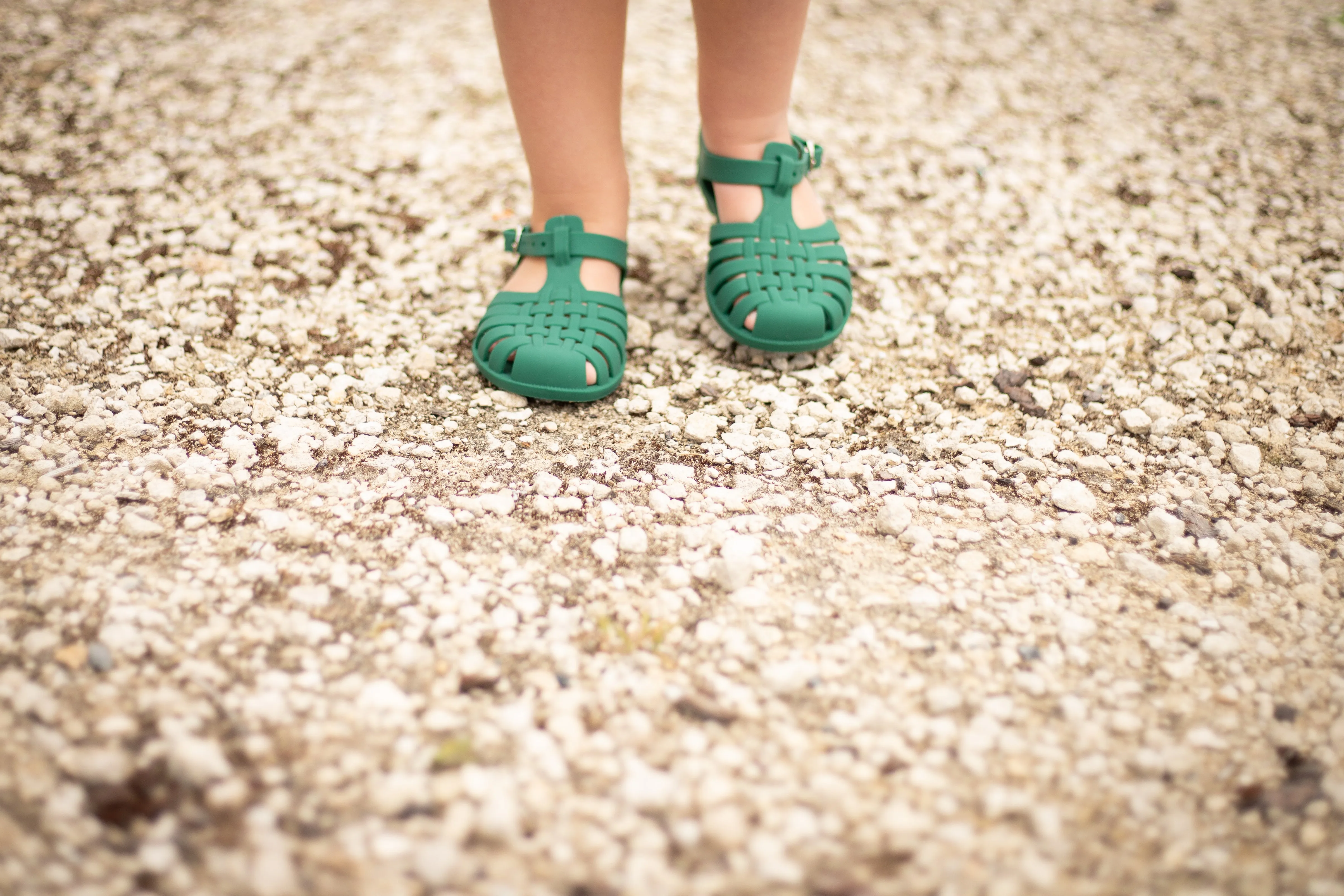 Classical Jelly Sandals Myrtle Green