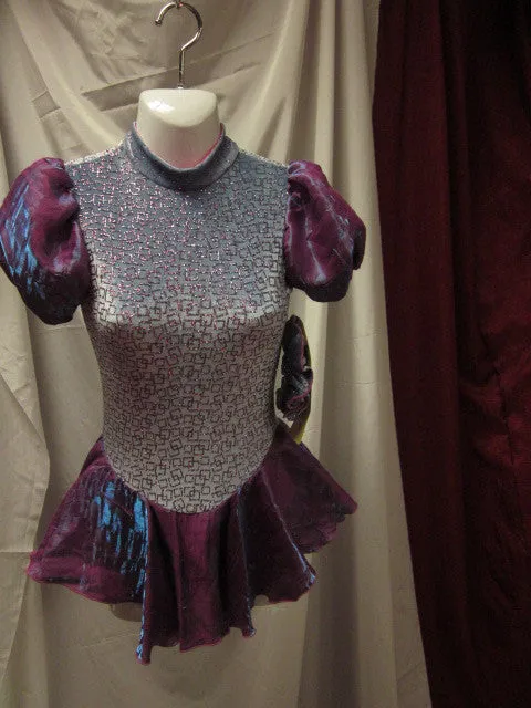 Jerry's 252 Youth 12-14 Cinderella Skate dress