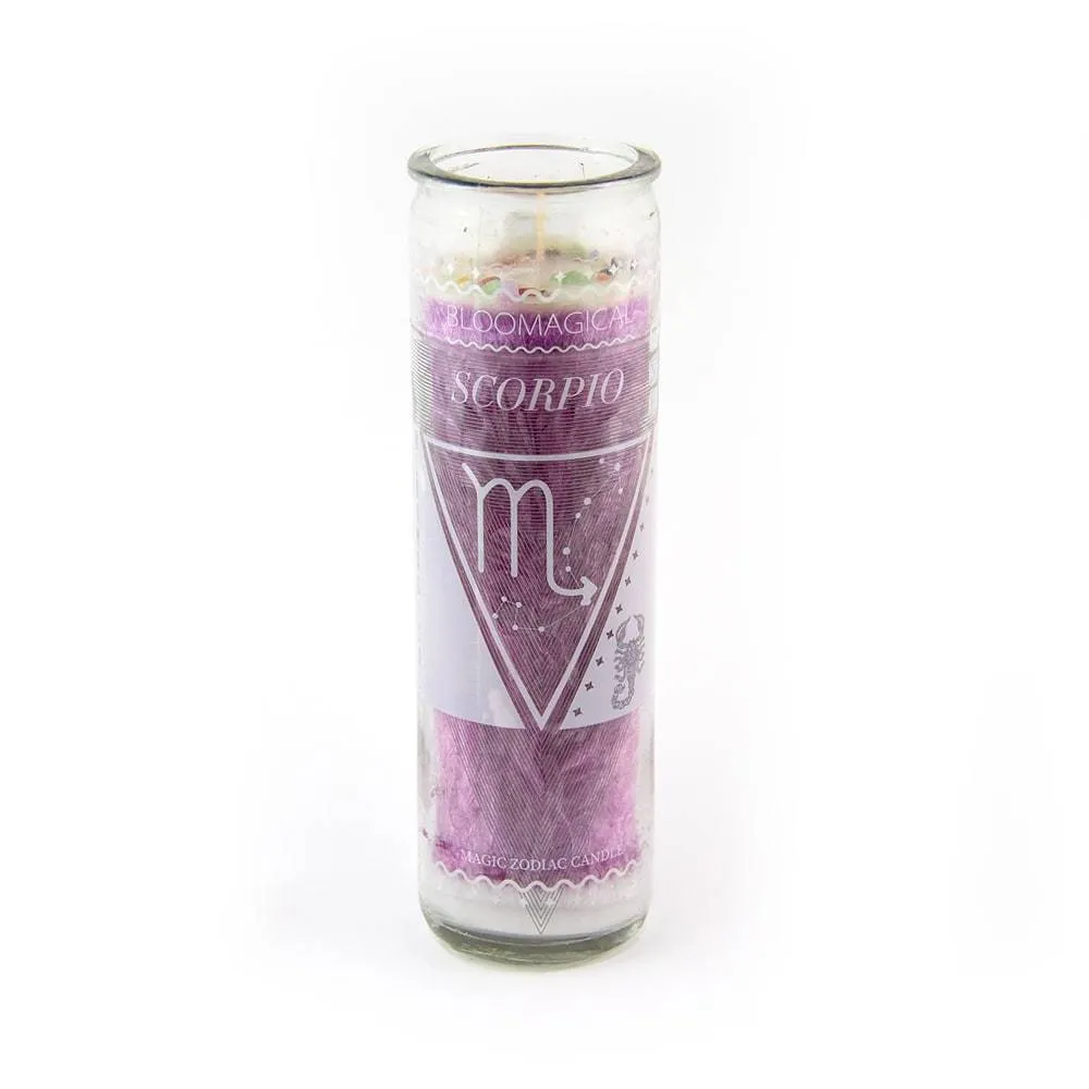 Magic Scorpio Purple Zodiac Candle w/Crystals