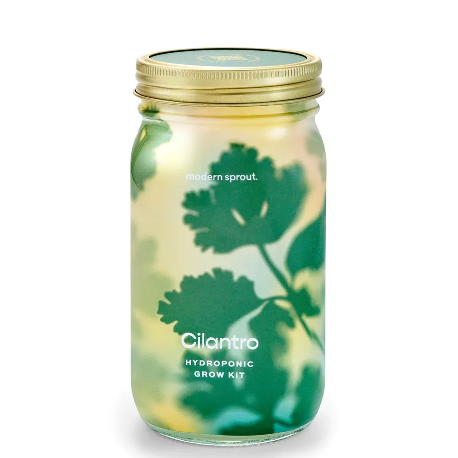 Modern Sprout Garden Jars