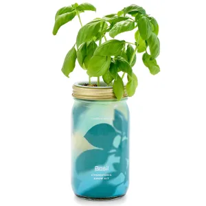 Modern Sprout Garden Jars