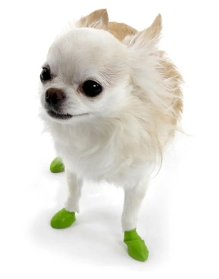 PawZ Dog Boots