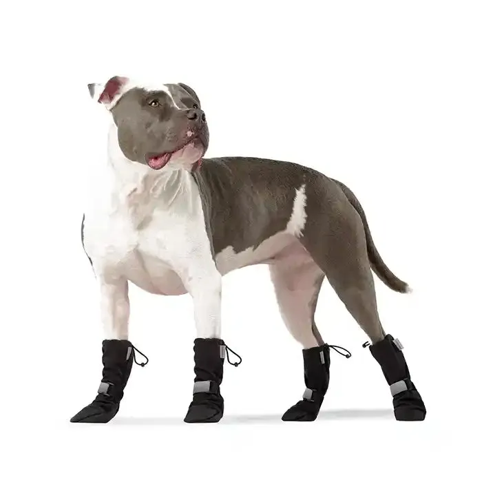 Soft Shield Dog Booties