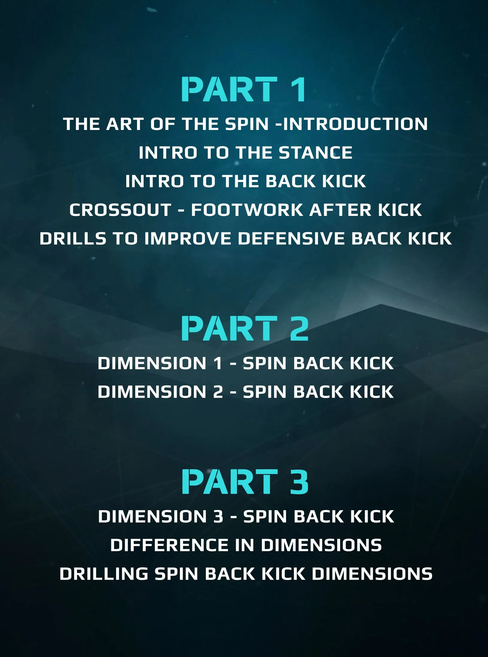 The Art of The Spin Kick Volume 1 by Raymond Daniels