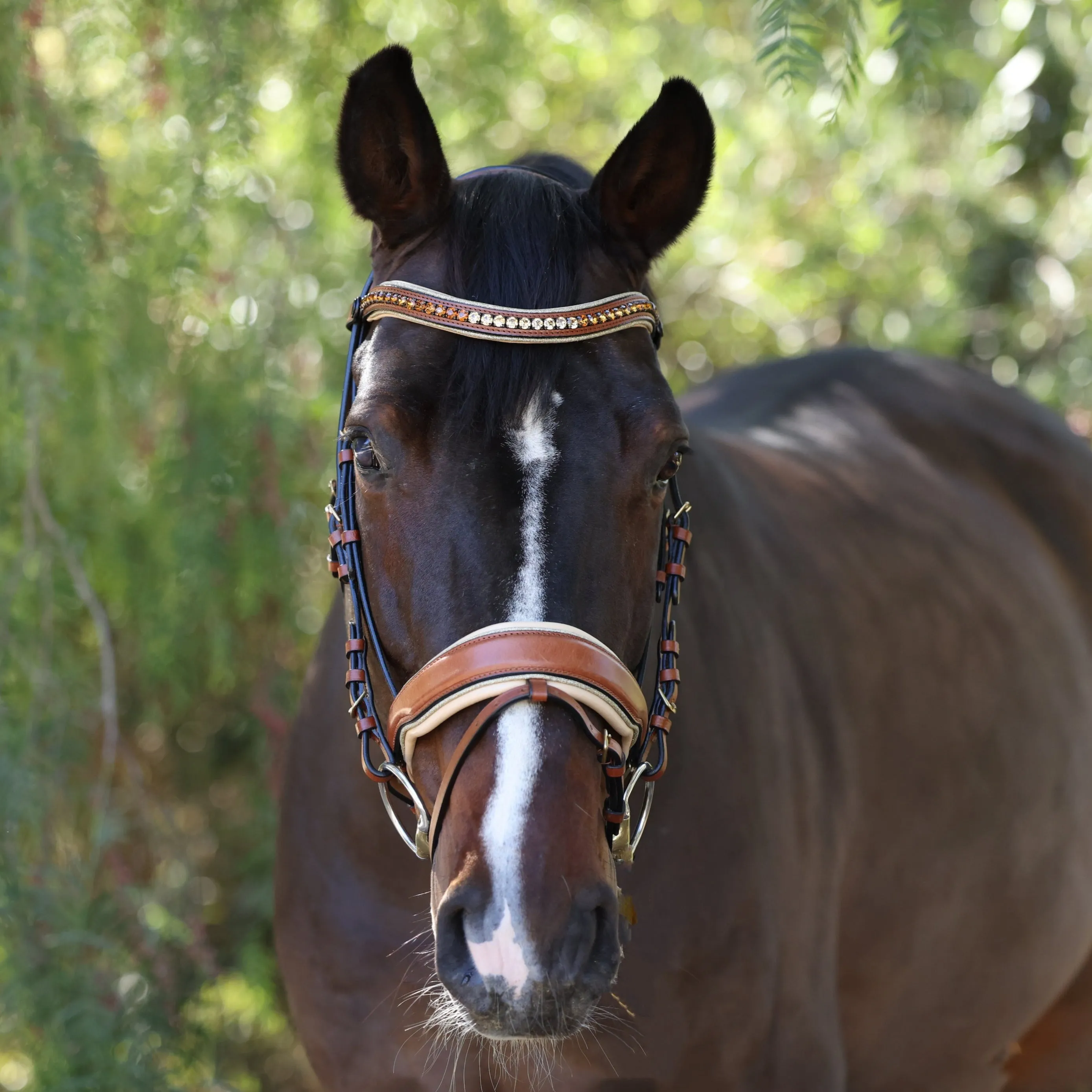 The Willow - Cognac Leather Snaffle Bridle