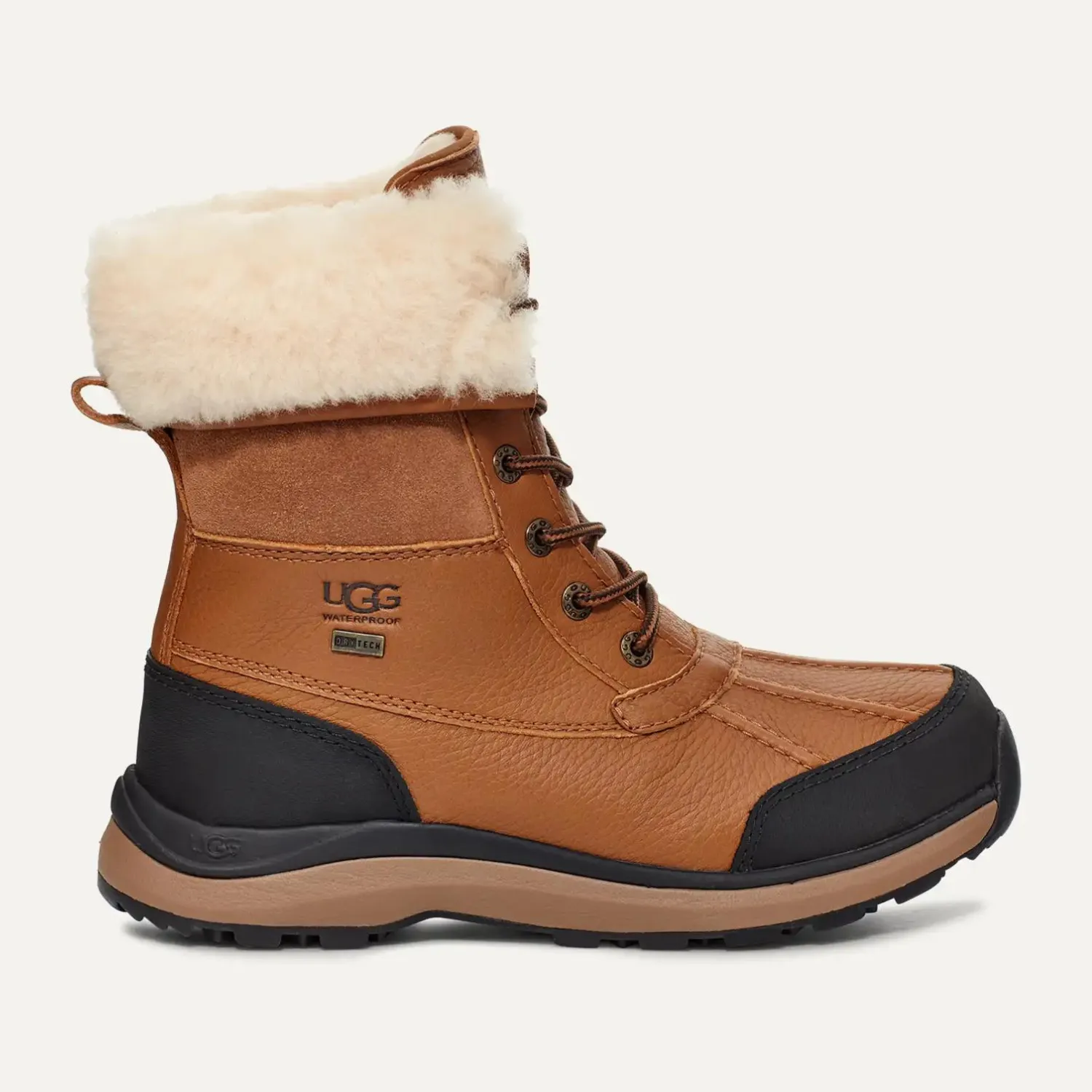 Women's Adirondack III Boot